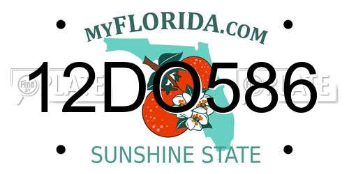 12DO586 Florida License Plate