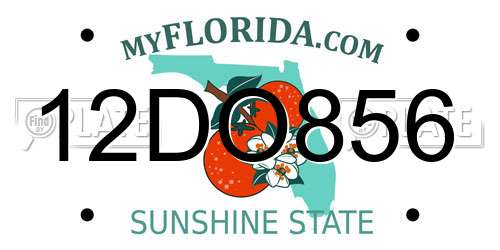 12DO856 Florida License Plate