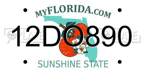 12DO890 Florida License Plate