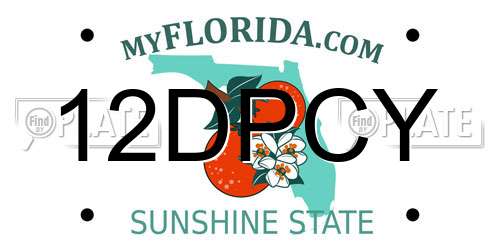 12DPCY Florida License Plate