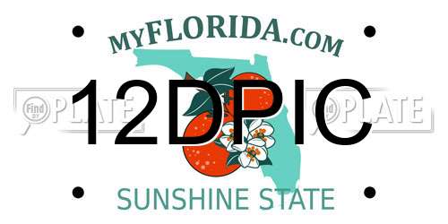 12DPIC Florida License Plate