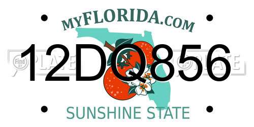 12DQ856 Florida License Plate
