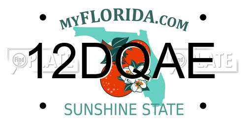 12DQAE Florida License Plate