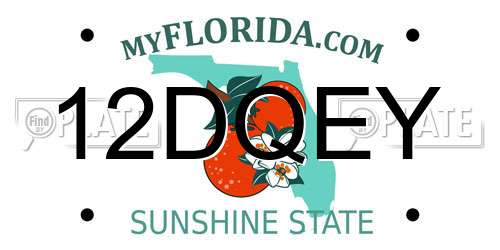 12DQEY Florida License Plate