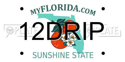 12DRIP Florida License Plate