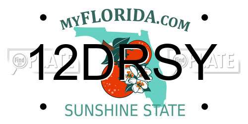 12DRSY Florida License Plate