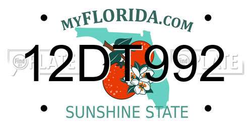 12DT992 Florida License Plate