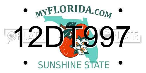 12DT997 Florida License Plate