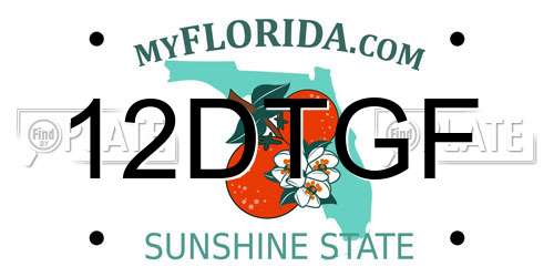 12DTGF Florida License Plate
