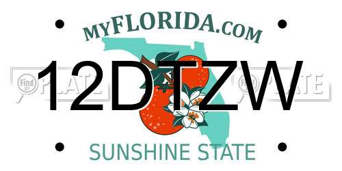 12DTZW Florida License Plate