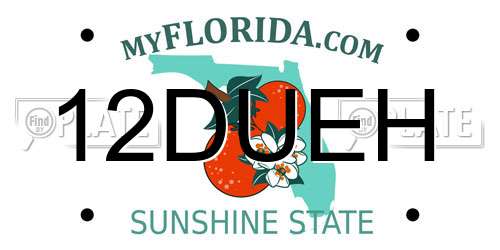 12DUEH Florida License Plate