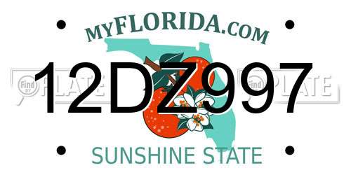 12DZ997 Florida License Plate
