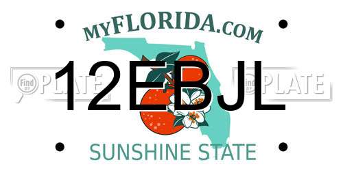 12EBJL Florida License Plate