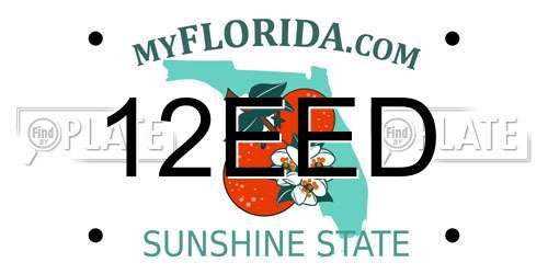 12EED Florida License Plate
