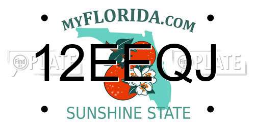 12EEQJ Florida License Plate