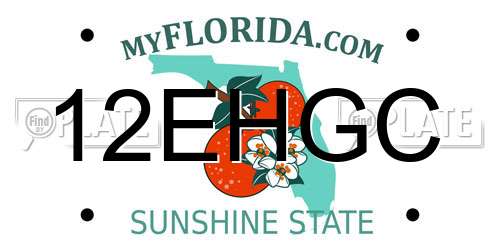 12EHGC Florida License Plate
