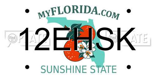 12EHSK Florida License Plate
