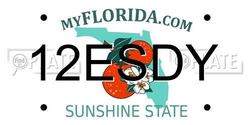 12ESDY Florida License Plate