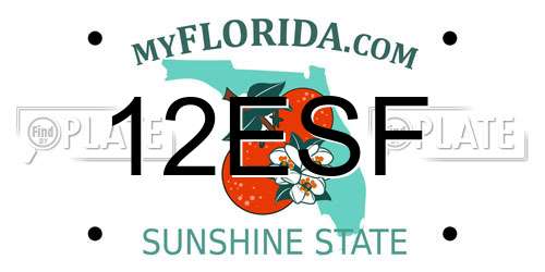 12ESF Florida License Plate