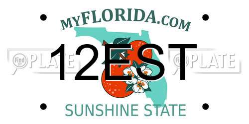 12EST Florida License Plate