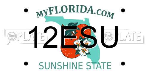 12ESU Florida License Plate