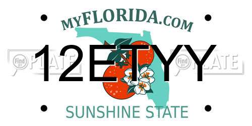 12ETYY Florida License Plate