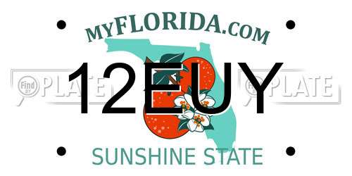 12EUY Florida License Plate