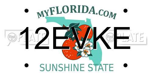 12EVKE Florida License Plate