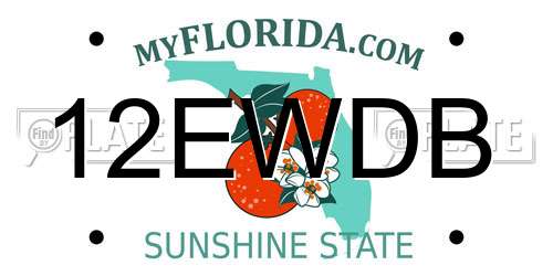 12EWDB Florida License Plate