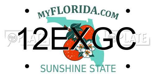 12EXGC Florida License Plate