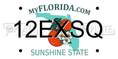 12EXSQ Florida License Plate