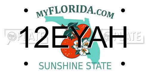 12EYAH Florida License Plate