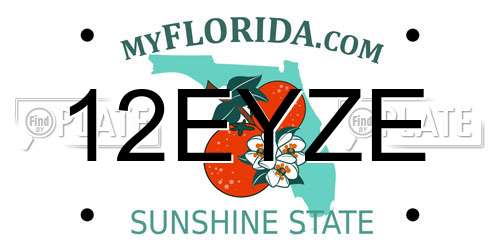 12EYZE Florida License Plate