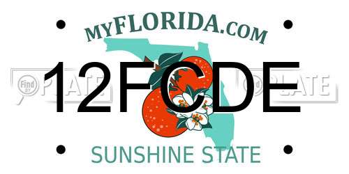 12FCDE Florida License Plate