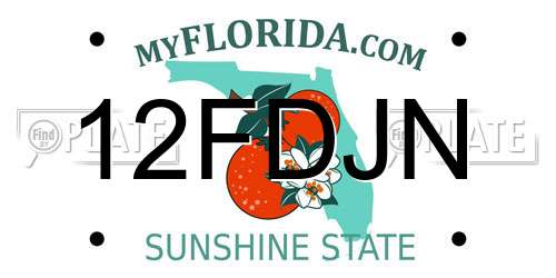 12FDJN Florida License Plate