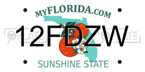 12FDZW Florida License Plate