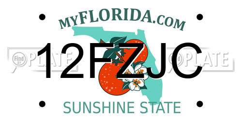 12FZJC Florida License Plate
