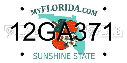12GA371 Florida License Plate
