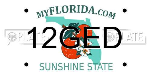 12GED Florida License Plate