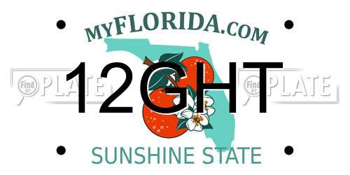 12GHT Florida License Plate