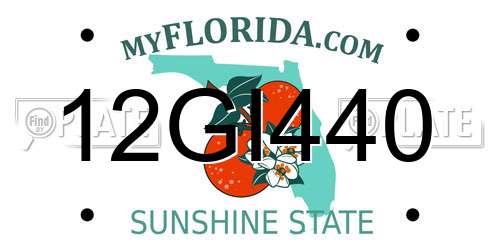 12GI440 Florida License Plate