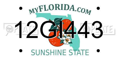 12GI443 Florida License Plate