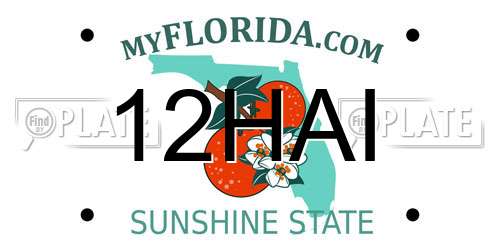 12HAI Florida License Plate