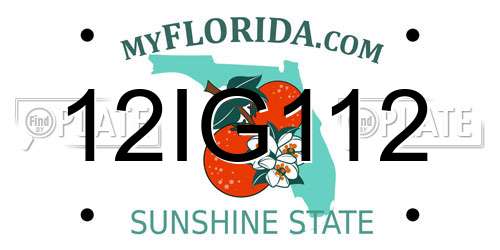 12IG112 Florida License Plate