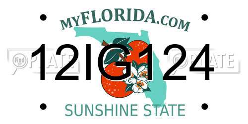 12IG124 Florida License Plate