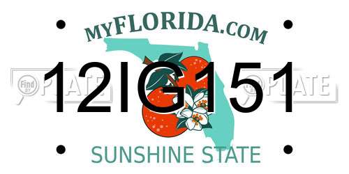 12IG151 Florida License Plate