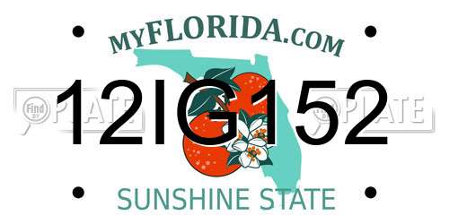 12IG152 Florida License Plate