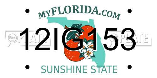 12IG153 Florida License Plate