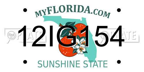 12IG154 Florida License Plate