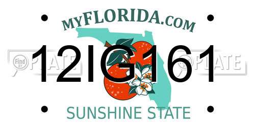 12IG161 Florida License Plate